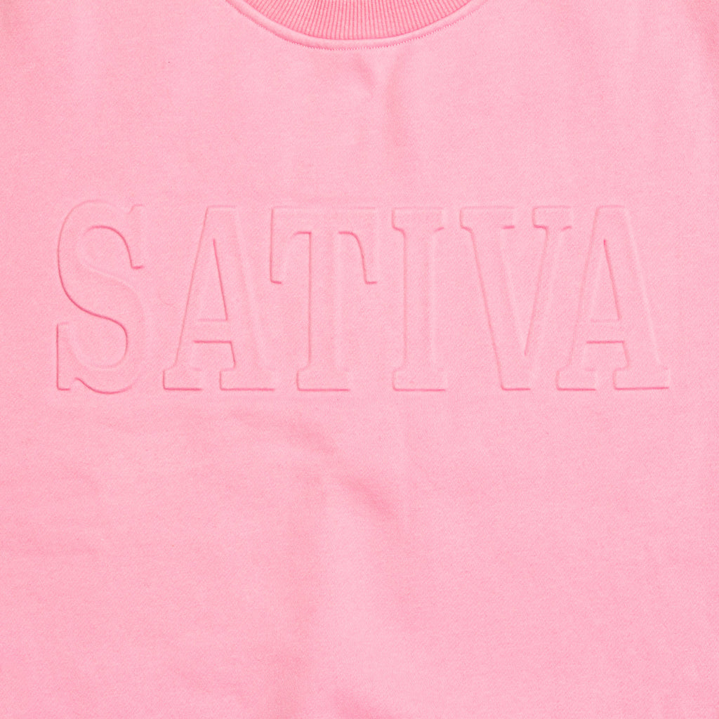 "STAVIA" front of pink sweatshirt